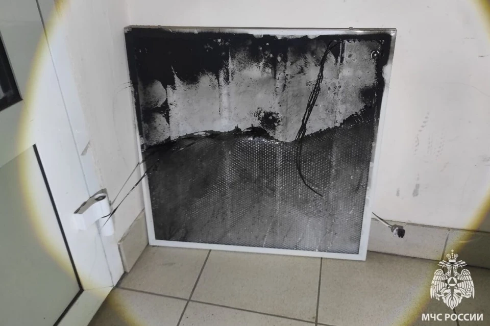 На пожаре никто не пострадал. Фото: МЧС Удмуртии