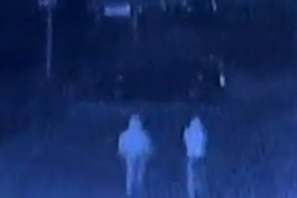 В Бодайбо два человека украли чужую иномарку, чтобы покататься с друзьями