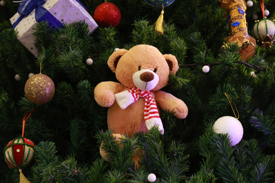 В администрации Барнаула уже начали подготовку к зимним праздникам