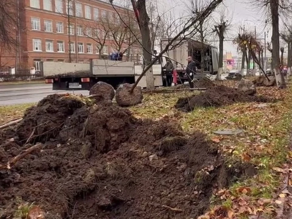 Фото с сайта администрации города Владимира.