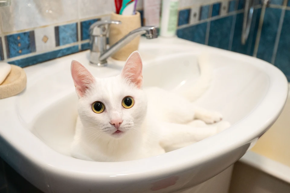 Местных жителей предупреждают об отключении воды. Фото: архив КП