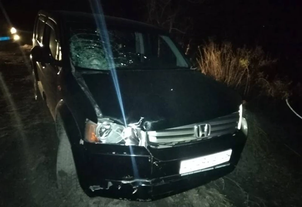 Госавтоинспекция разбирается в обстоятельствах наездов на пешеходов. Фото: https://t.me/prim_police