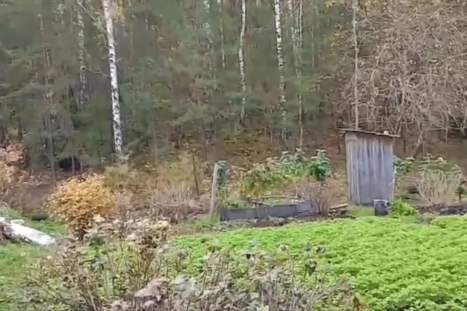 Фото: ОНФ в Челябинской области