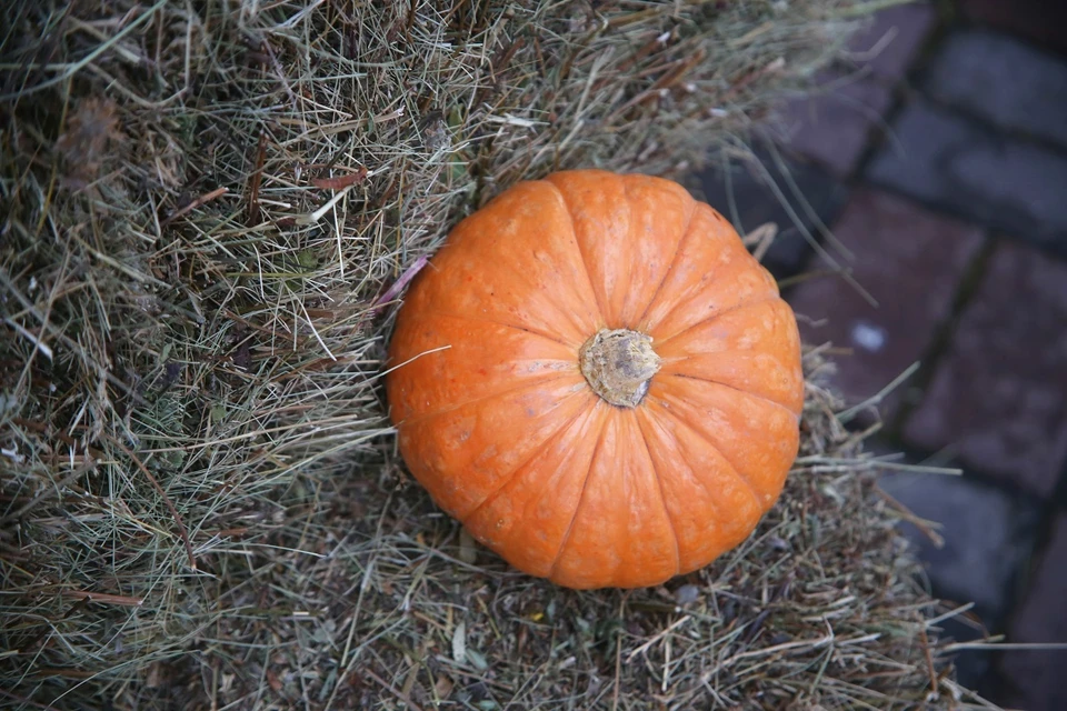 Расскажем, где и как в 2025 году в Красноярске можно отпраздновать Хэллоуин