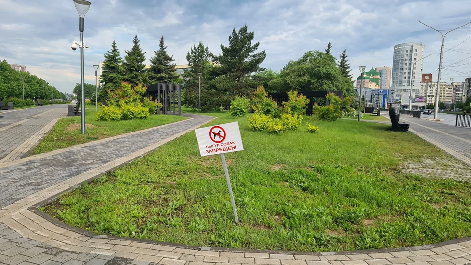 Фото: пресс-служба АПК.