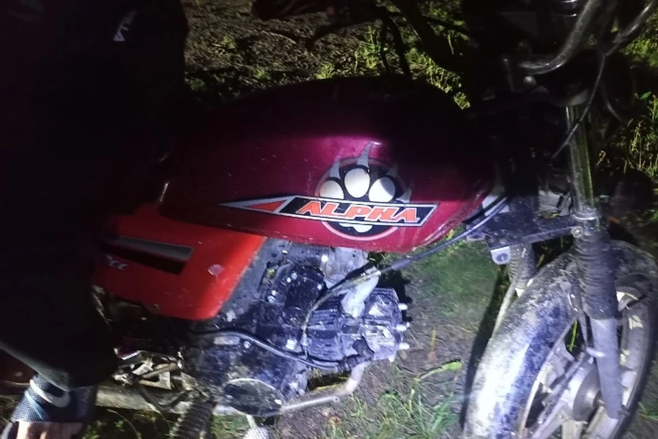 Фото: пресс-служба прокуратуры Брянской области.