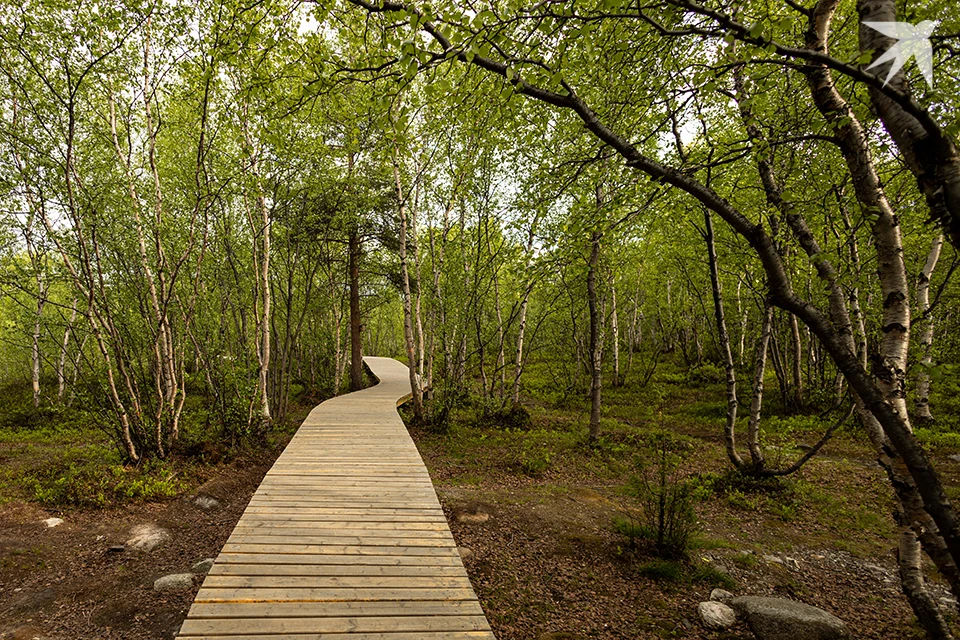 На странице губернатора Мурманской области в ВК жители Мурманска обратили внимание на недоработки на спорткомплексе «Снежинка».