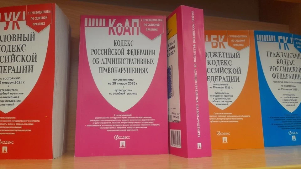 Ранее автомобилистка уже привлекалась к ответственности по ст. 12.8 КоАП РФ за пьяную езду.