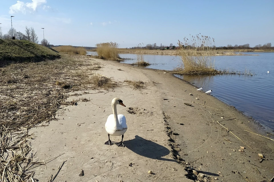 Британец основал микрогосударство на «нейтральной» земле — и был депортирован через несколько дней