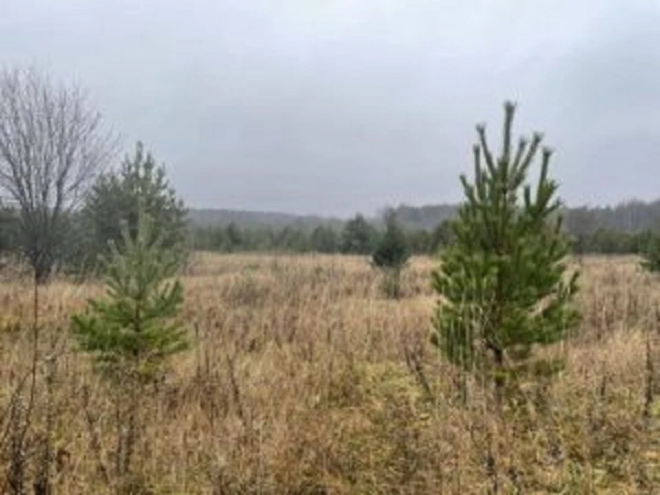 Фото: Россельхознадзор