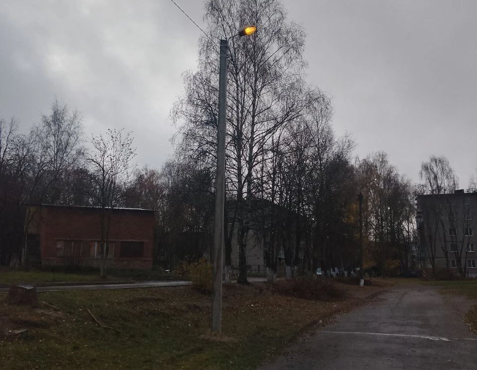 Фото: администрация города Владимира