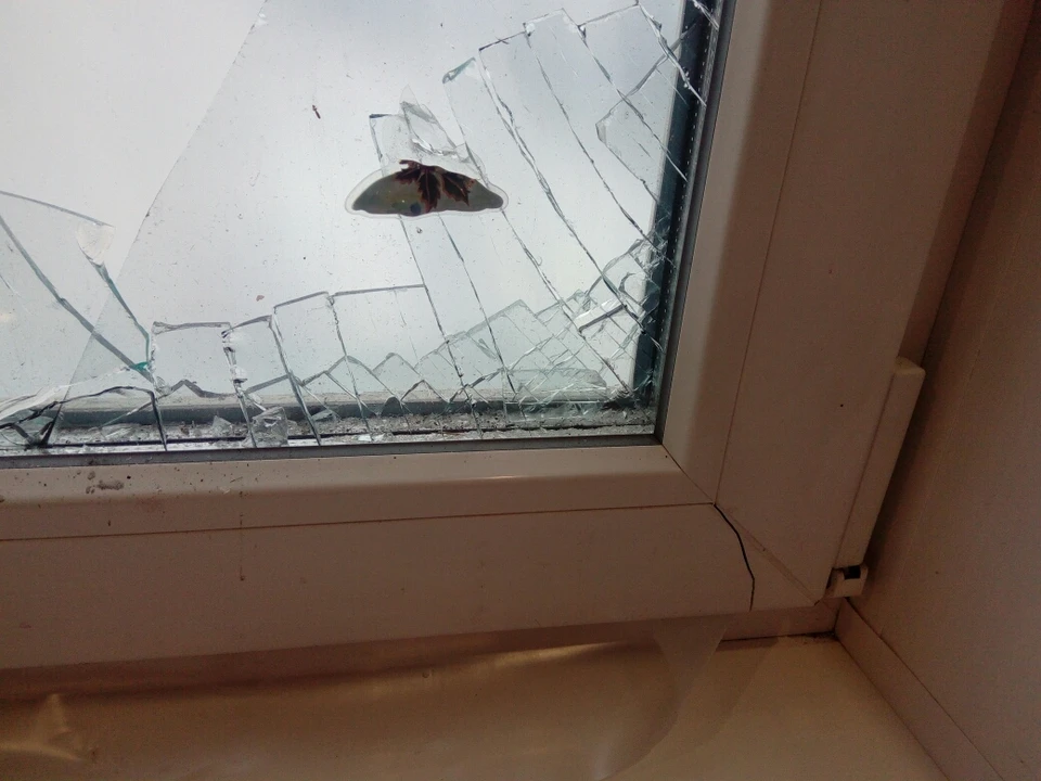 Фото Елены Федяшевой