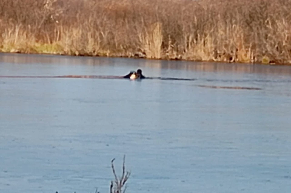 Утонувших рыбаков искали водолазы. Фото: Управление Алтайского края по делам ГОЧС и ПБ