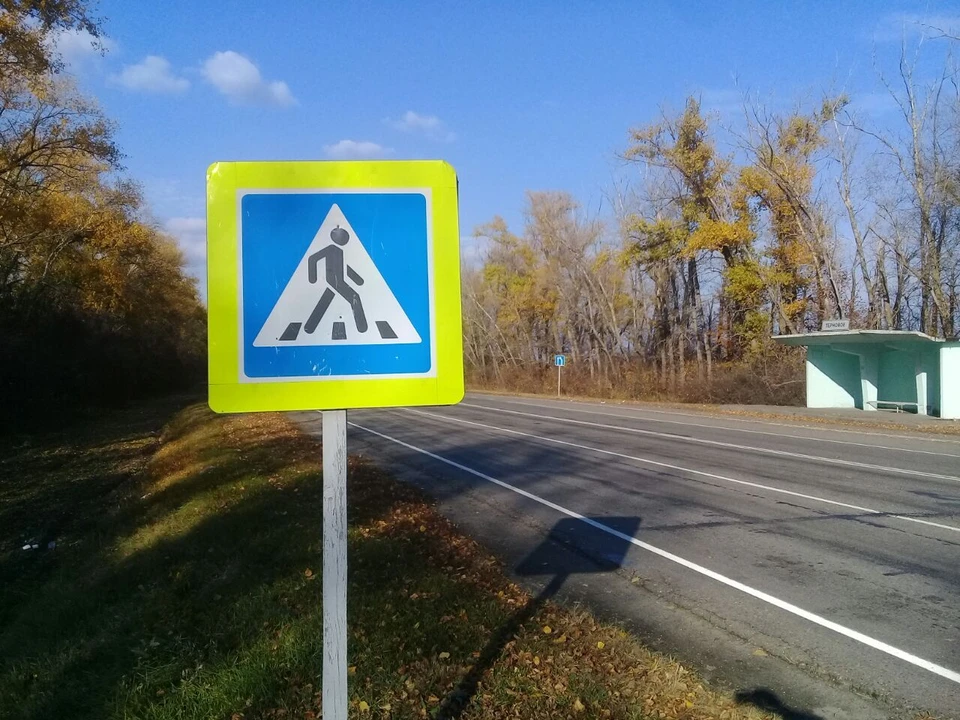 85 пешеходов перешли дорогу в неустановленных местах, а им в свою очередь не предоставили преимущество 38 автолюбителей.