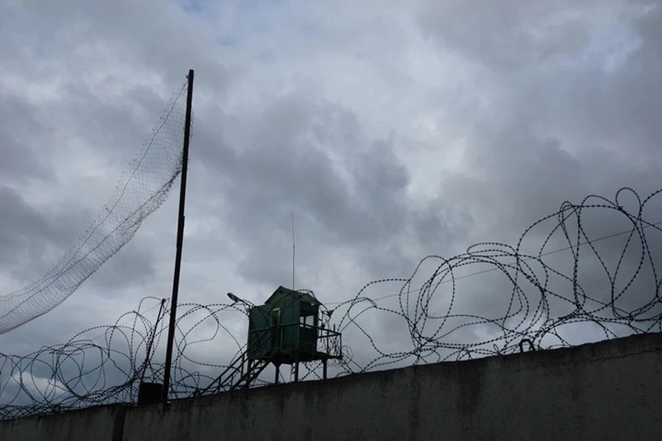 Крымчанка ранила мужа кухонным топориком и получила 8 месяцев колонии