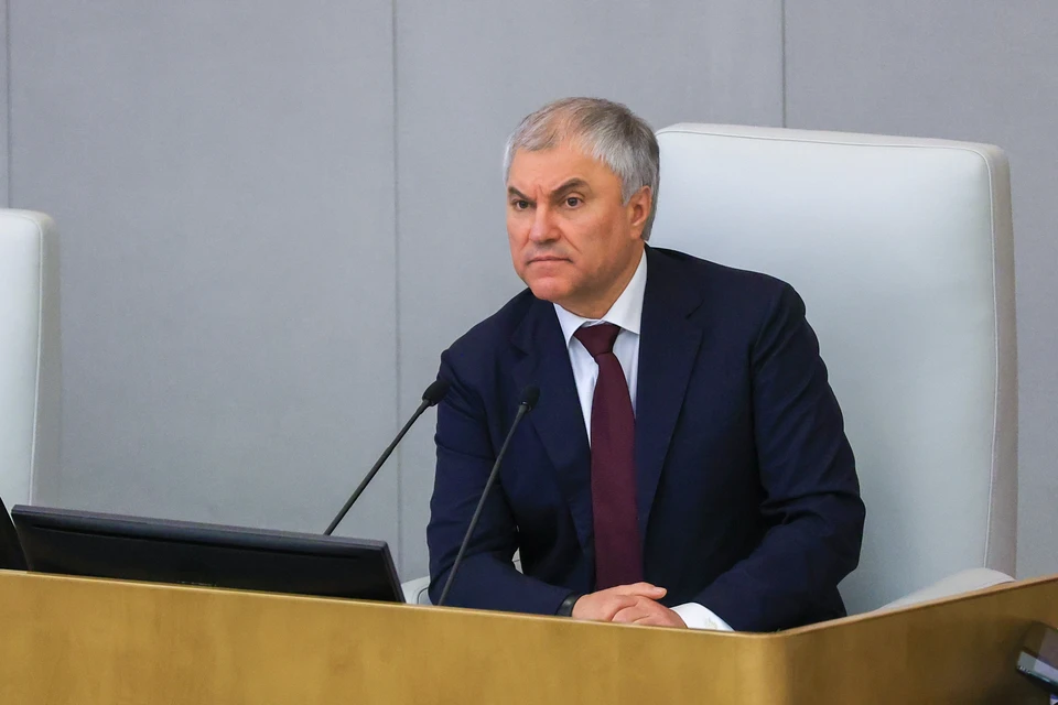 Председатель Госдумы Вячеслав Володин
