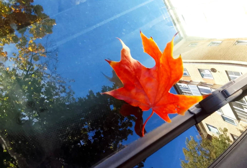 Метеорологи пообещали комфортную температуру в начале ноября.