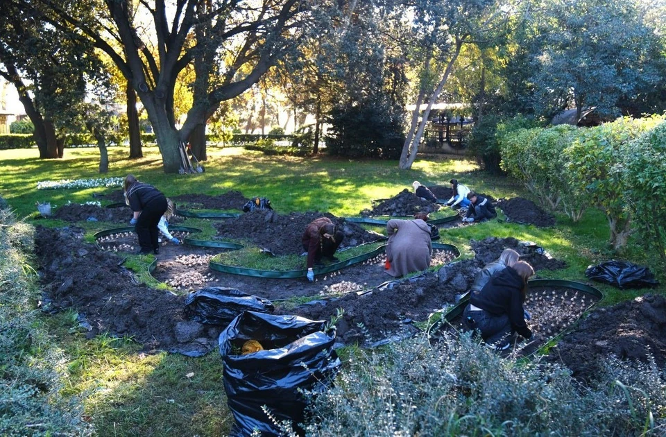 Осенью на Южном берегу Крыма высадят более 90 тысяч цветов. Фото: администрация Ялты/Tg