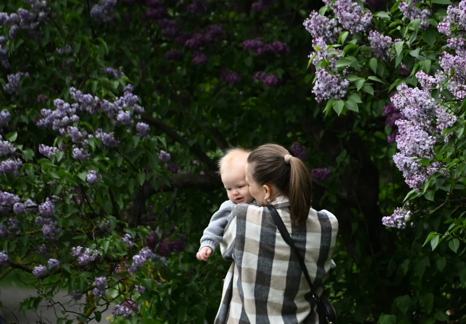Законопроект о дополнительной поддержке студентов с детьми не прошел.