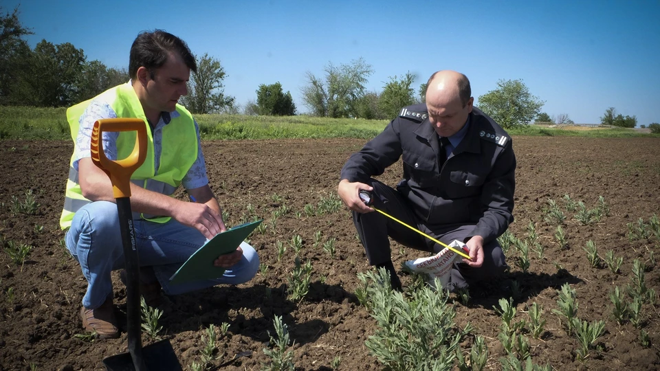 Фото: Управление Россельхознадзора по Ростовской, Волгоградской и Астраханской областям и Республике Калмыкия