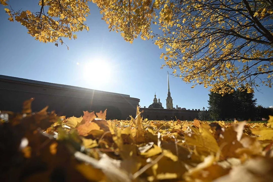 Гости планировали отдых за 15 дней до его начала.