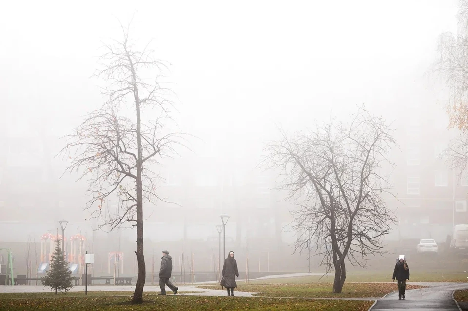 Туман прогнозируется в Удмуртии