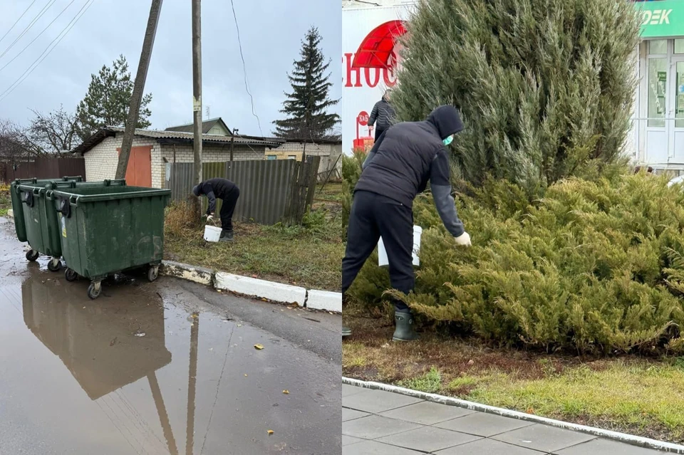 Фото: Администрация Татищевского района
