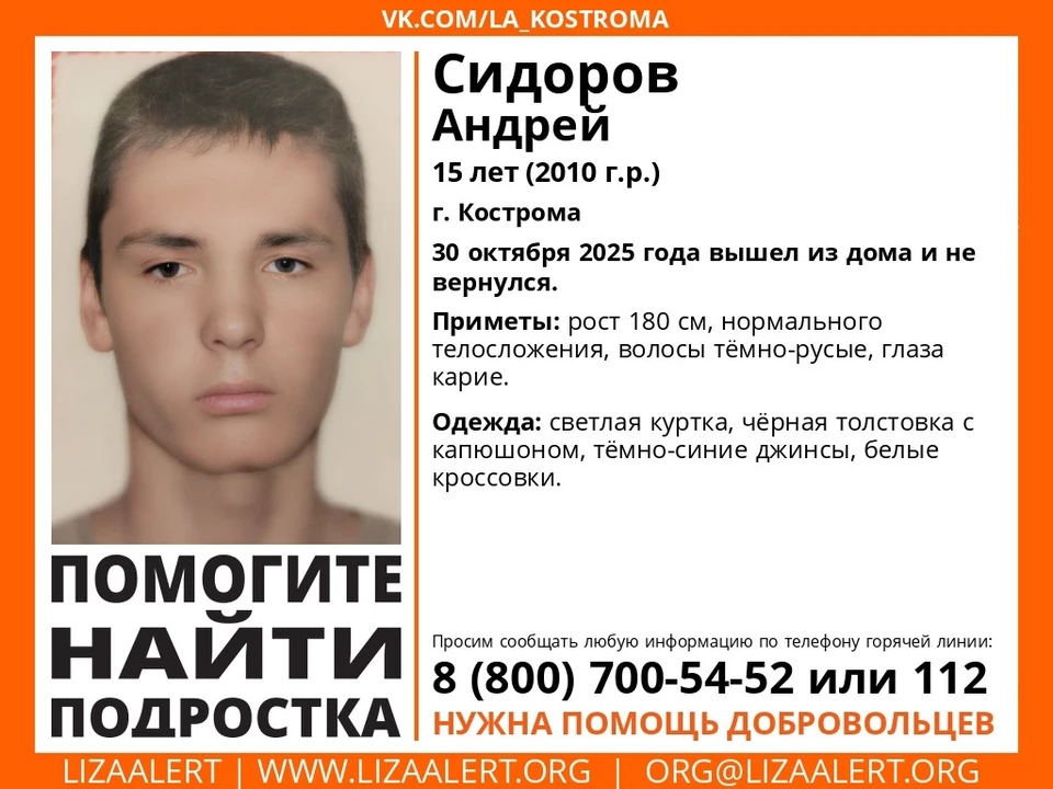 Фото: поисково-спасательный отряд "ЛизаАлерт" Костромской области