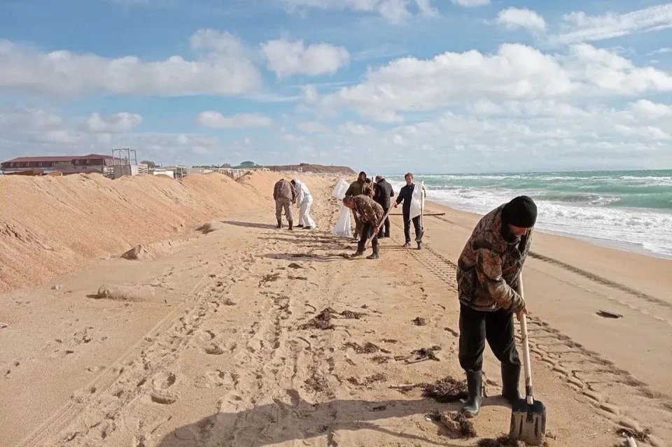 Новые выбросы мазута убирают в Темрюкском районе Фото: оперативный штаб Краснодарского края