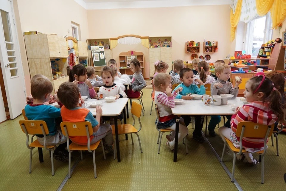 Детский сад в Хабаровске получил предостережение от Россельхознадзора