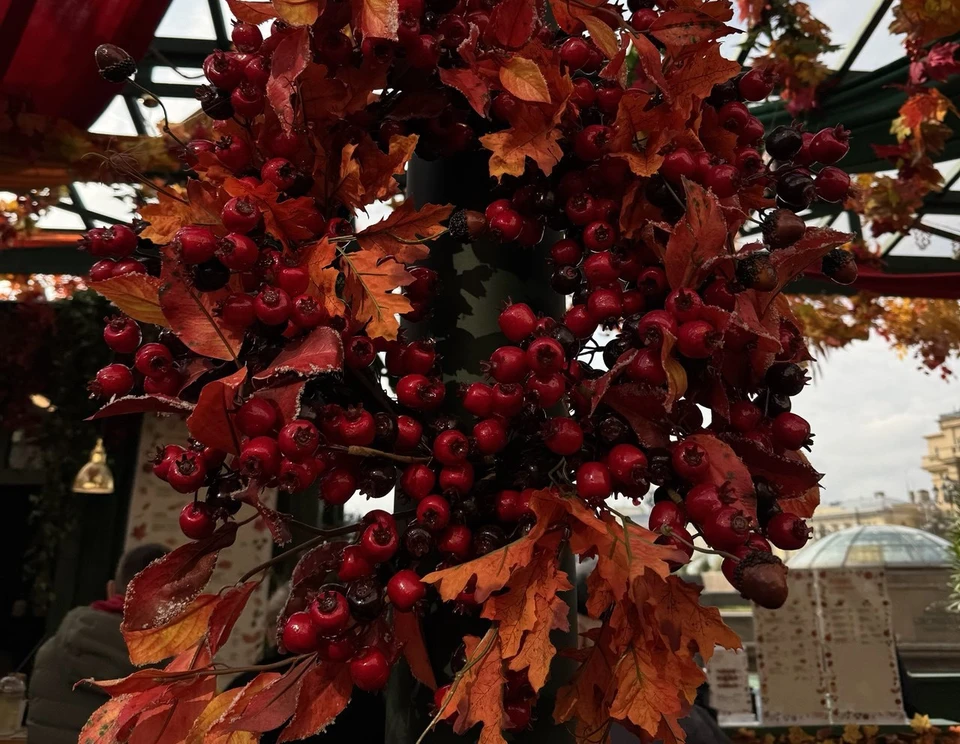 Гидрометцентр объявил неожиданный прогноз на ноябрь в Тюменской области.