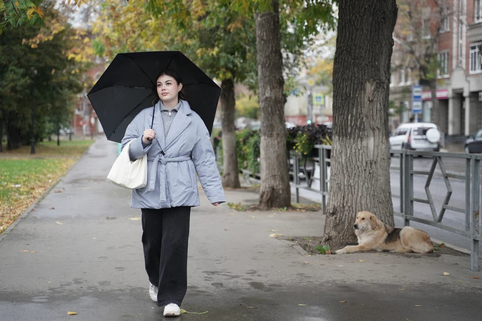 Гидрометцентр дал уточненный прогноз погоды на ноябрь в Нижегородской области.