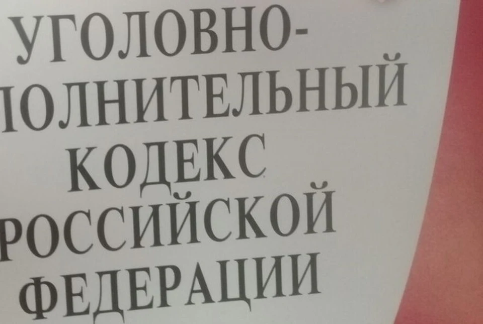 После побега отдел дознания ОП№ 6 УМВД России по Воронежу возбудил уголовное дело по части 1 статьи 313 УК РФ.