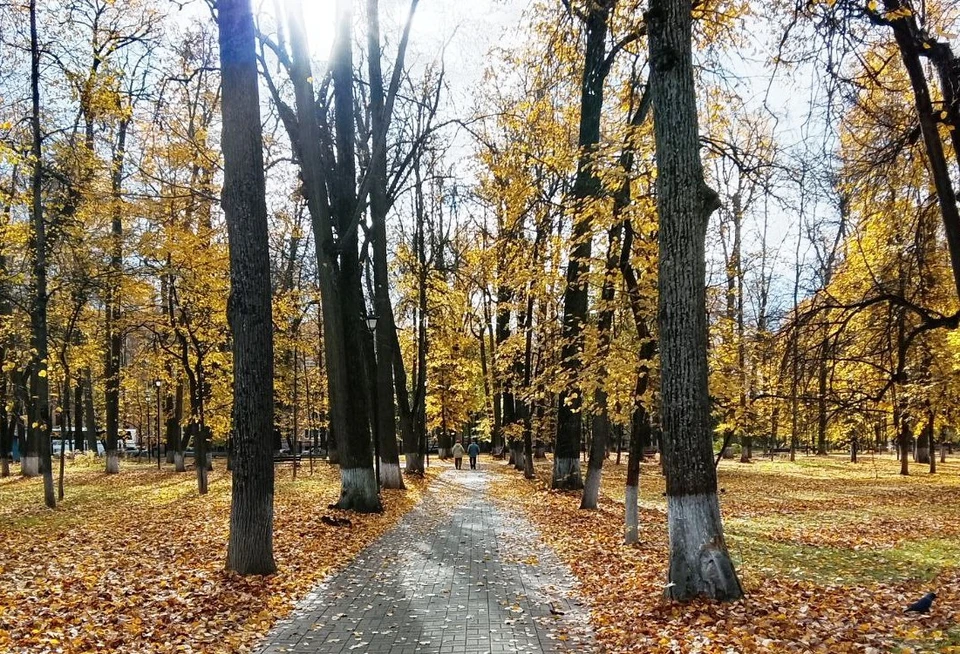 Ноябрьская погода приготовила сюрпризы калужанам.