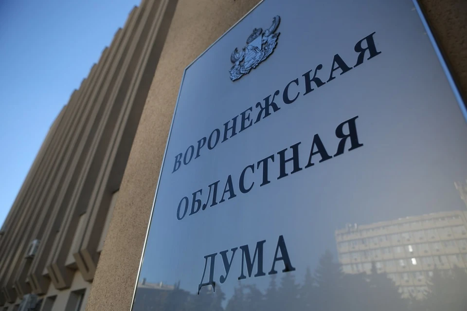 фото: Воронежская областная Дума