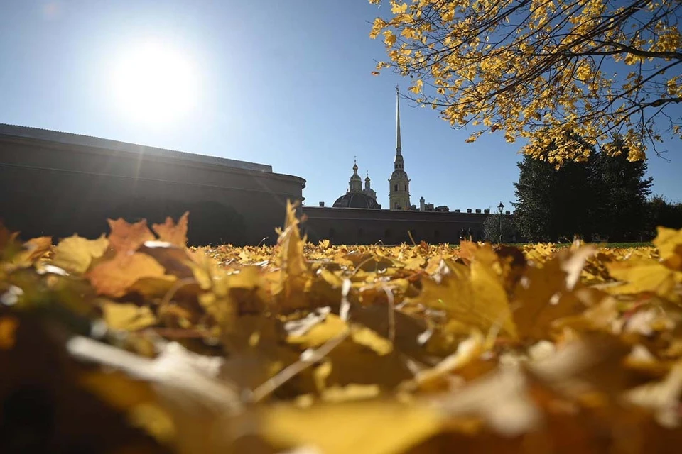 Светлых дней в октябре было очень мало.