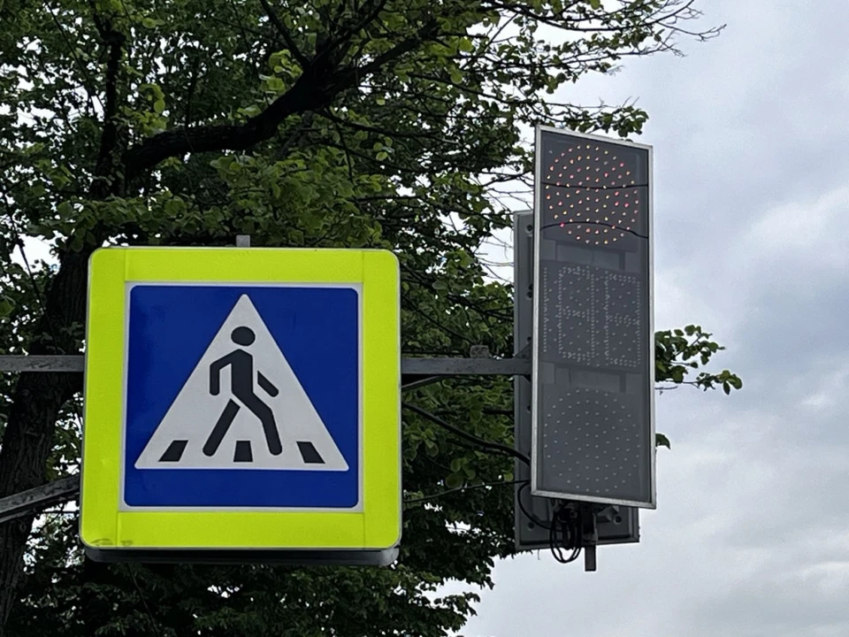 Фото: администрация Костромы