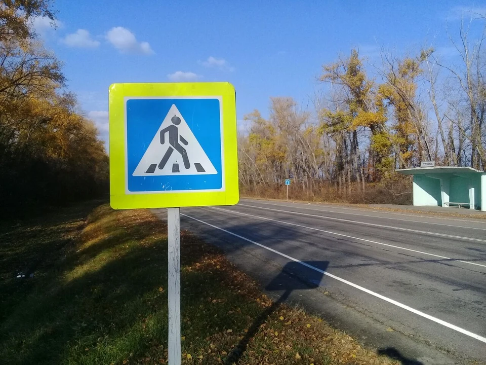 22 пешехода перешли дорогу в неустановленных местах, а им не предоставили преимущество 25 водителей.