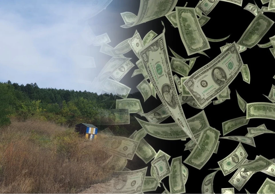 Заброшенные участки под Кишиневом продают по баснословным ценам. Фото: коллаж КП
