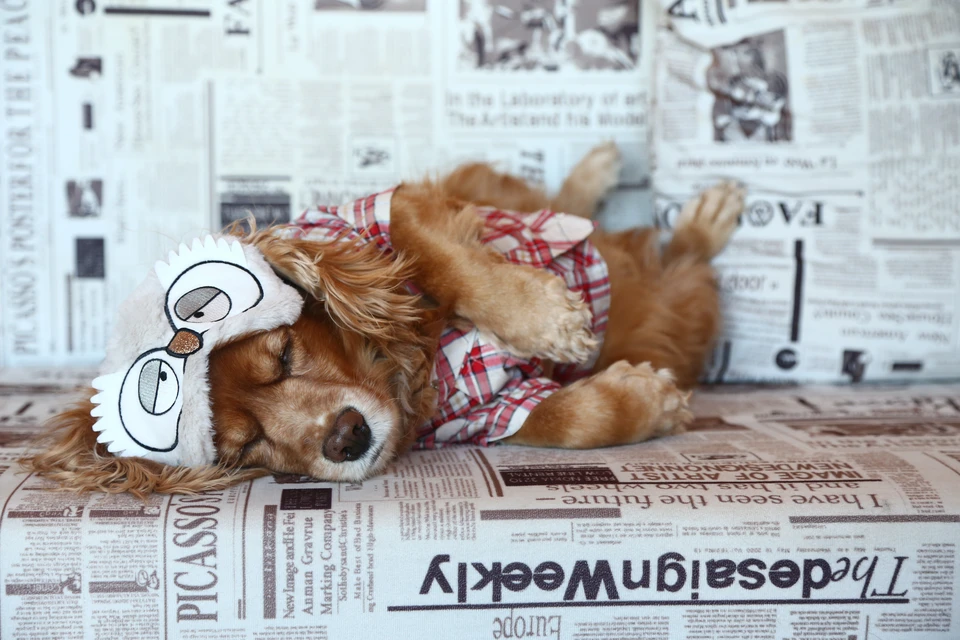 Одной из главных причин храпа является лишний вес