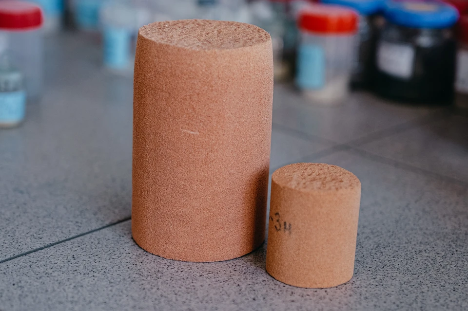 Фото: КНЦ СО РАН