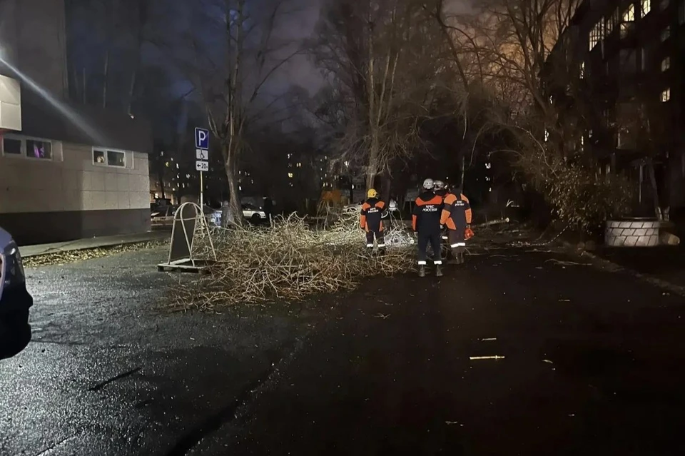 В Барнауле зафиксировано 14 происшествий из-за непогоды