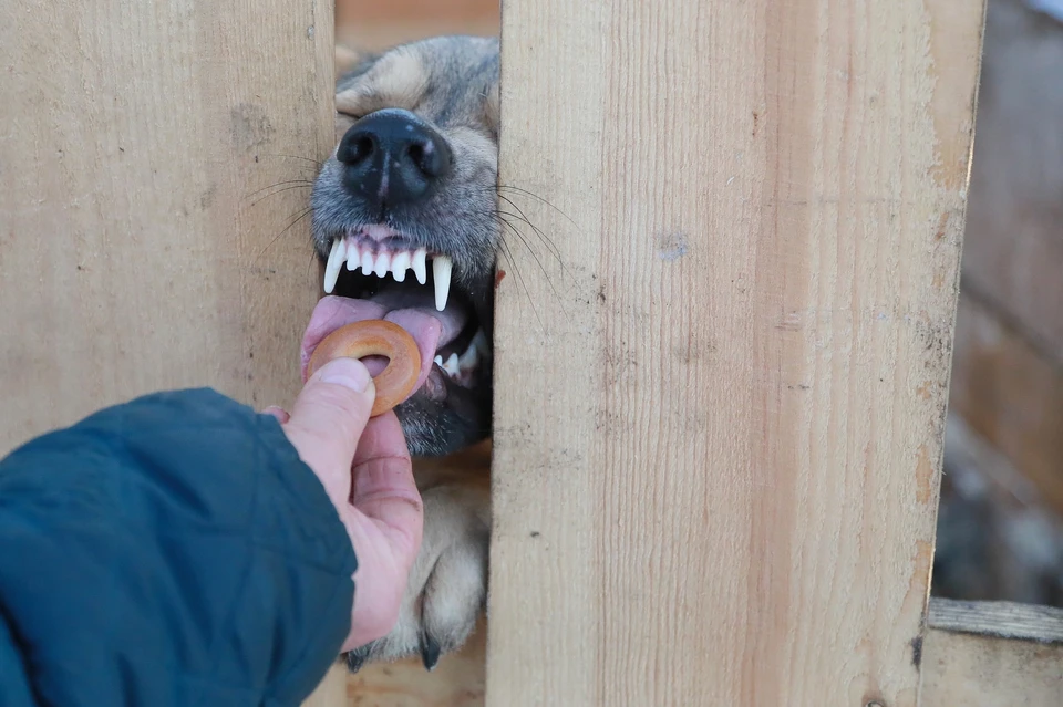 По делу об унижении чести и достоинства проходят три жительницы Красноярска