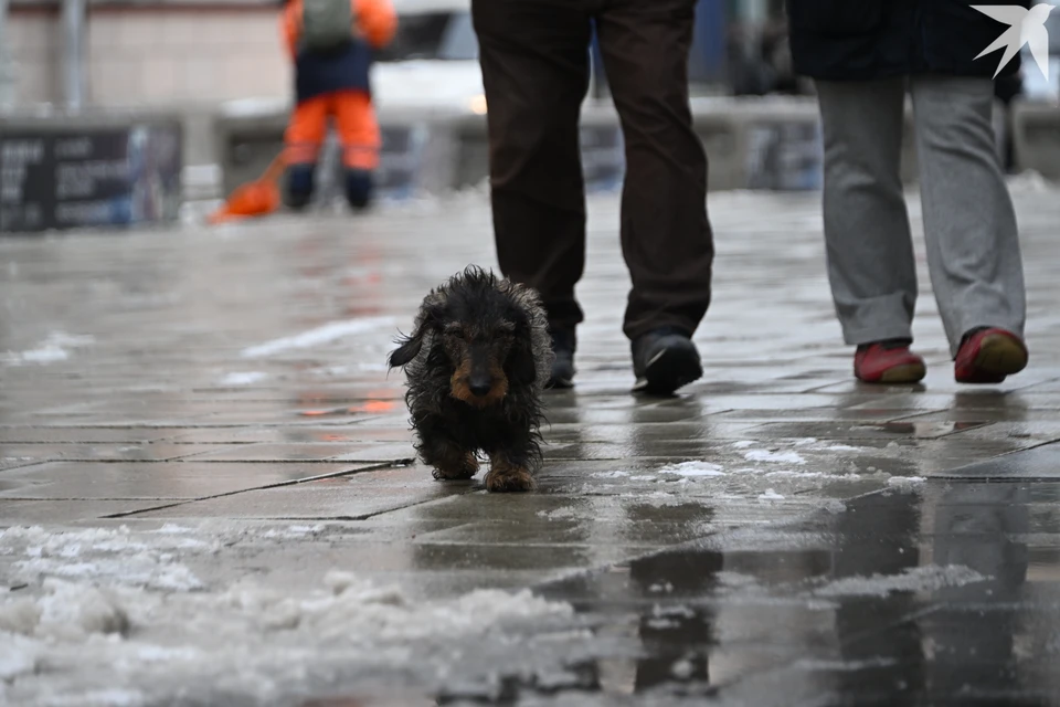 Водителей и пешеходов просят быть осторожнее на дорогах.