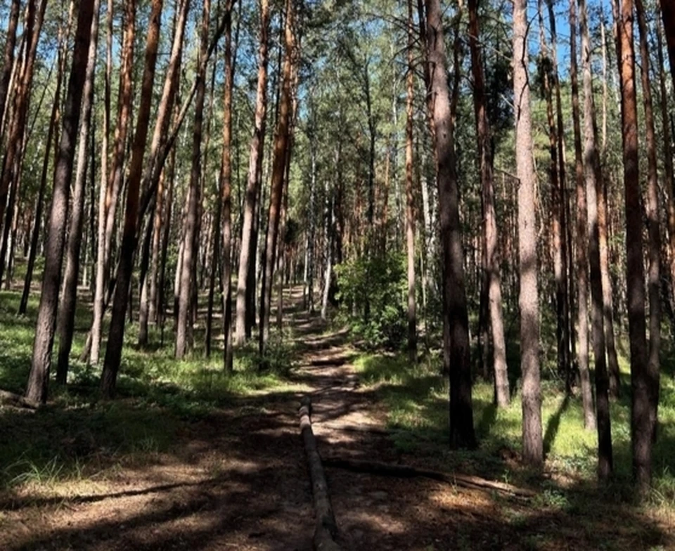 Фото Минприроды Воронежской области