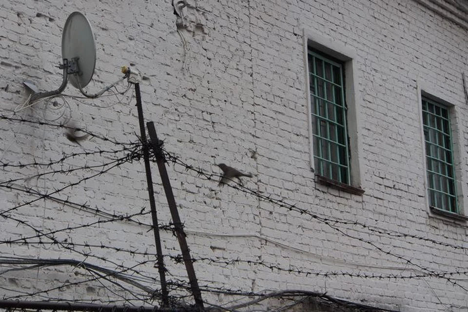 Виновнику ДТП с погибшим пешеходом в Узловском районе вынесли приговор