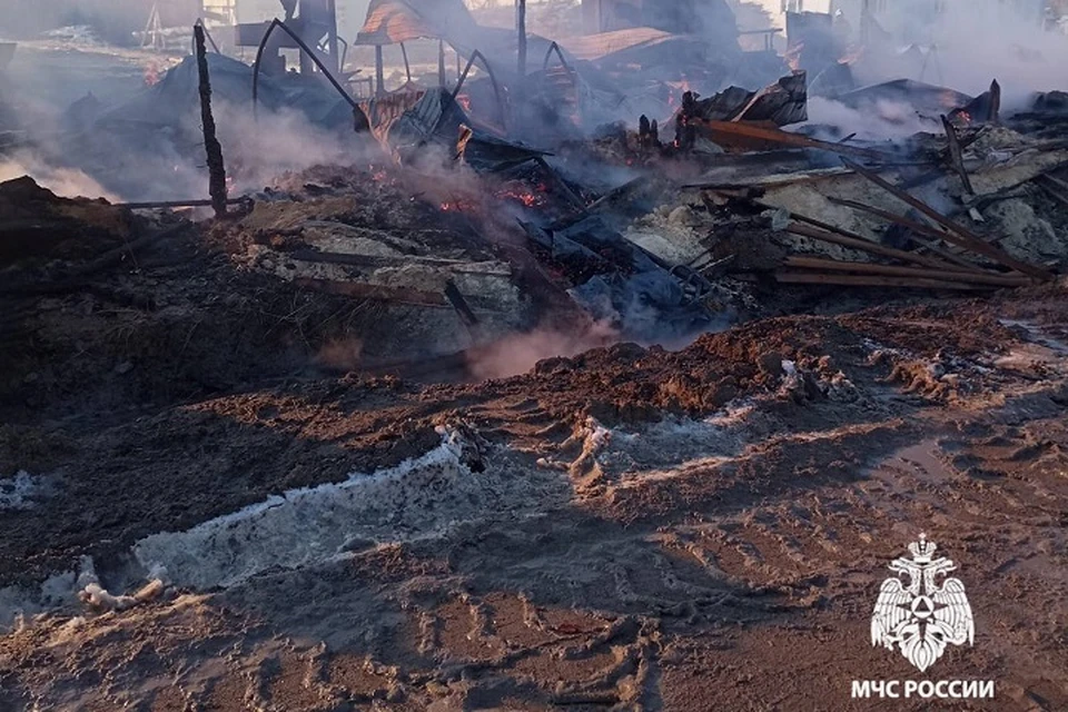 Пожар произошел на предприятии лесопереработки в Хабаровском крае Фото: МЧС Хабаровского края