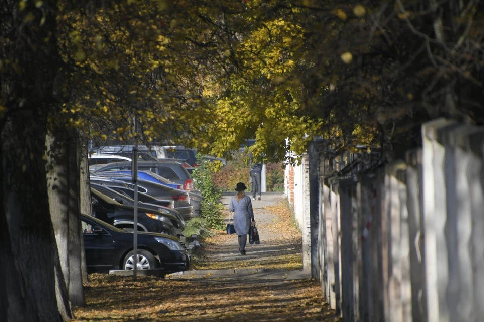 Относительно тепло: какая погода ждет туляков 3 ноября