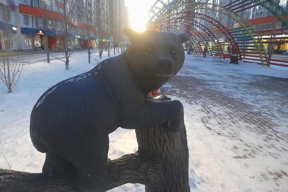 Погода в Тюменской области с 3 по 9 ноября 2025 года