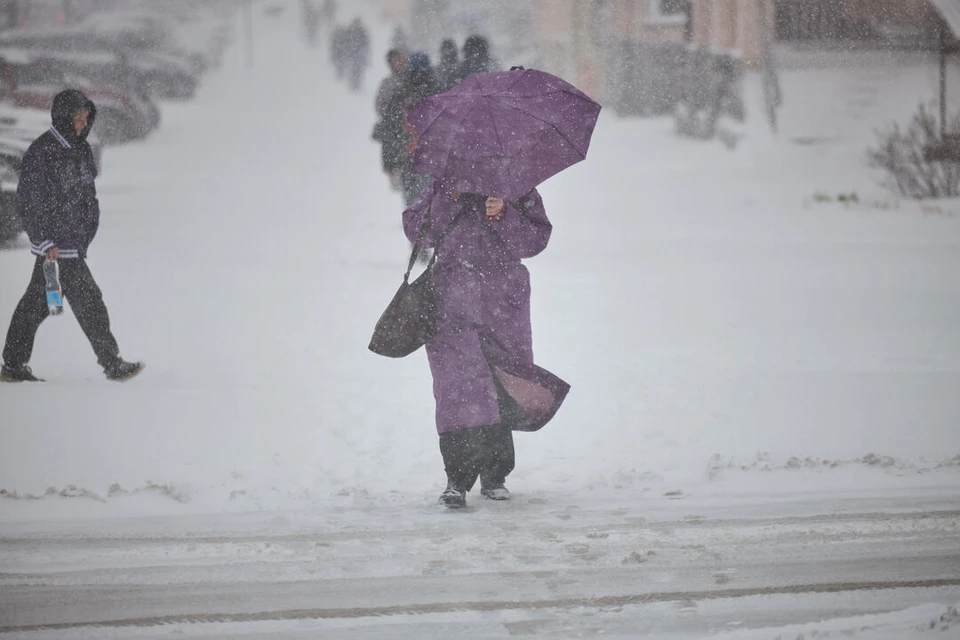 Новосибирск ожидают рекордные снегопады в начале ноября.
